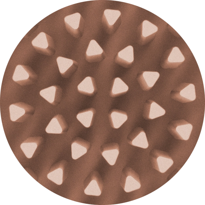 Fen Skincare Top View